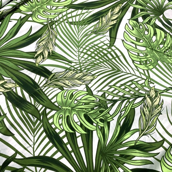 Бавовняна тканина - ботаніка, зелений і білий