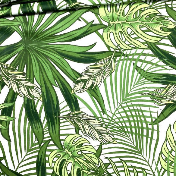 Бавовняна тканина - ботаніка, зелений і білий