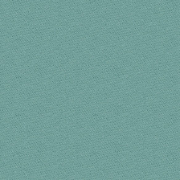 Трикотаж French Terry - Брудний м'ята