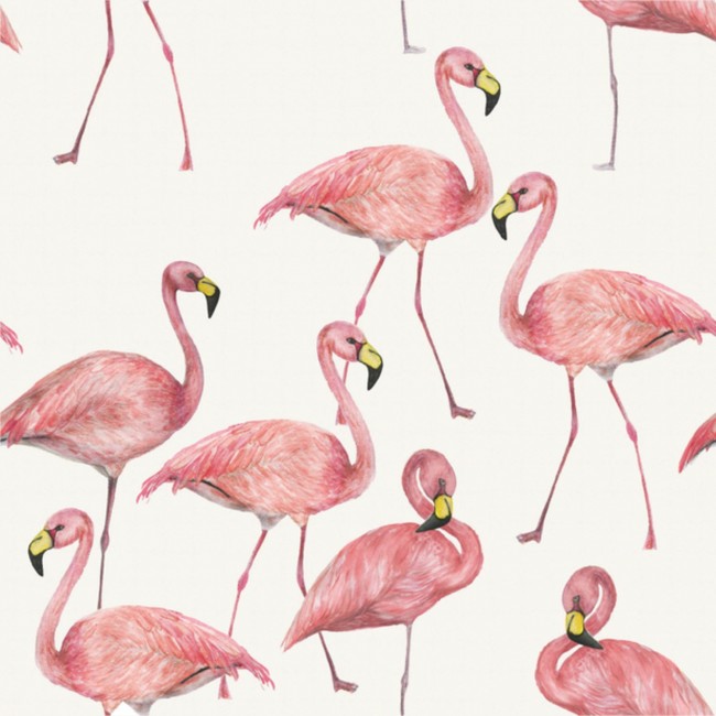 Single Jersey drukowany - Flamingi